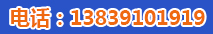 13839101919 13839101919